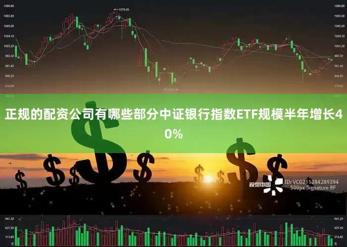 正规的配资公司有哪些部分中证银行指数ETF规模半年增长40%