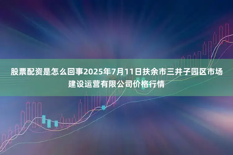 股票配资是怎么回事2025年7月11日扶余市三井子园区市场建设运营有限公司价格行情