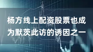 杨方线上配资股票也成为默茨此访的诱因之一